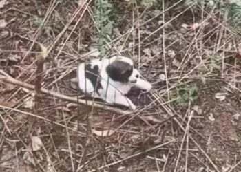 T3001027 Left to endure what no one should