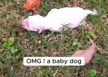 T3001062 Suffering doesn’t always look dramatic — sometimes it’s silent