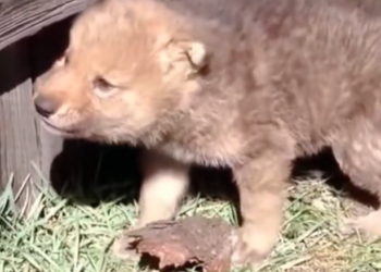 T3001083 No warmth. No help. Just time passing