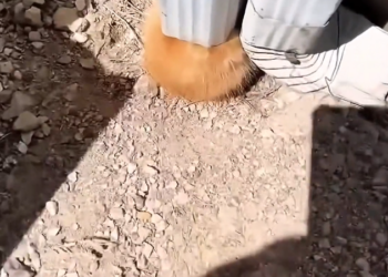 T3001082 Still breathing, still waiting