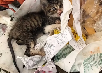 T3001075 Invisible pain is still pain