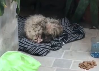 T3001066 Some stories are written in silence