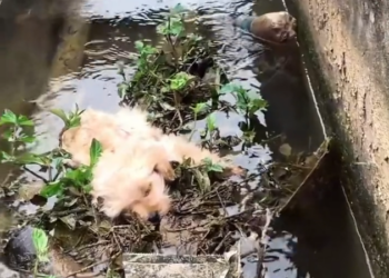 T3001041 One life, one chance to be seen