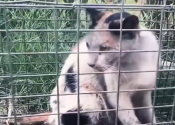 T3001024 Surviving wasn’t guaranteed today