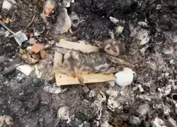 T3001051 The world kept moving. This life couldn’t