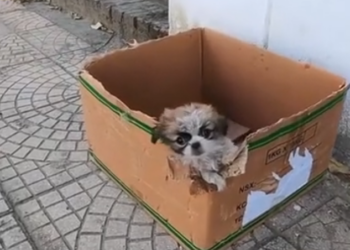 T3001022 Suffering hidden in plain sight