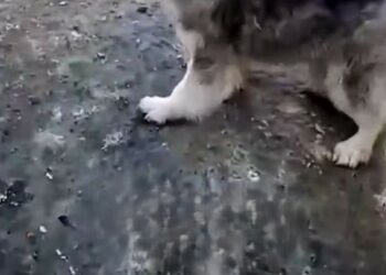 H0402107 The waiting did the most damage