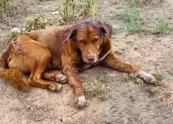 K0402115 Help arrived in the final stretch