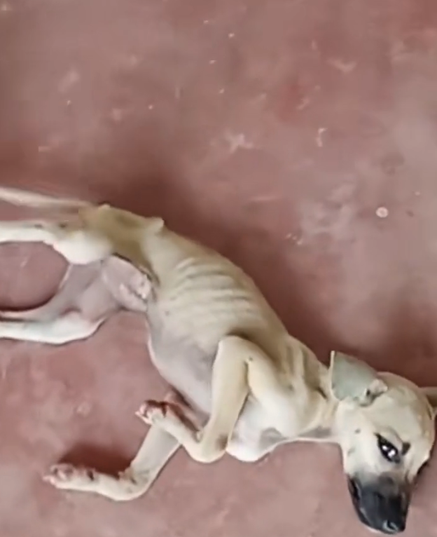 H1302034 The stillness was deeply unsettling