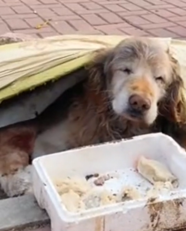 H1302035 Left where survival felt impossible