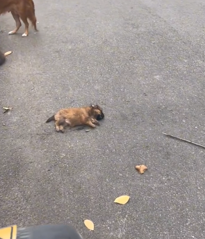 T3001009 This is what being ignored becomes