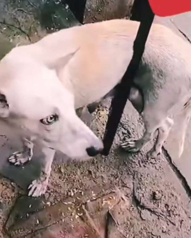 H1302040 The silence carried heavy weight