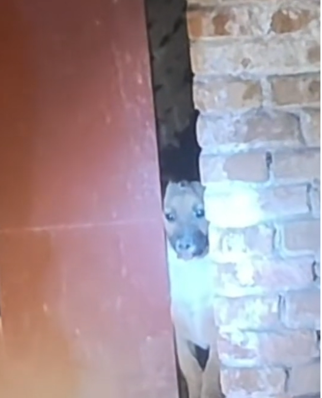 H1302048 A life balanced on uncertainty