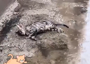 H1302022 Help came just before everything stopped