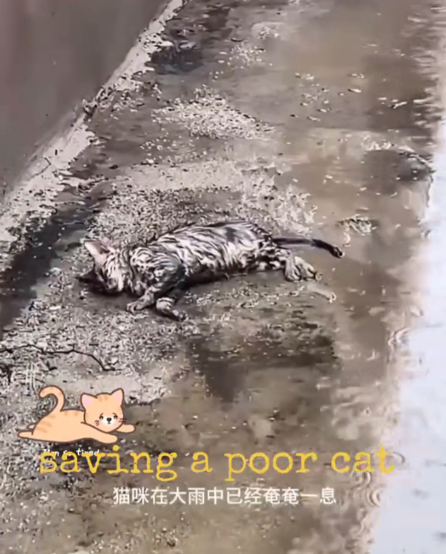 H1302022 Help came just before everything stopped