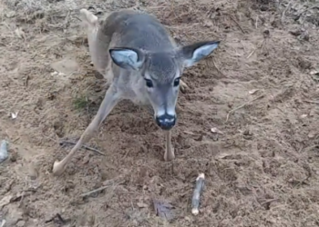 H1302025 No one knew how close this was