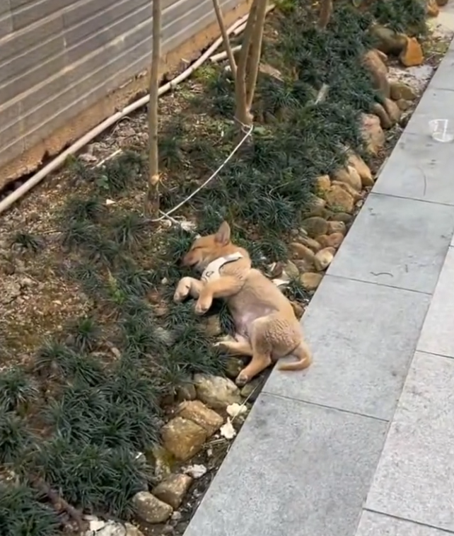 T3001005 Still alive, despite everything