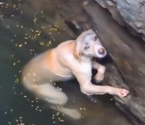 H1302001 Every breath felt uncertain and shallow