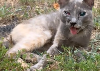 H1302003 The world felt impossibly unforgiving