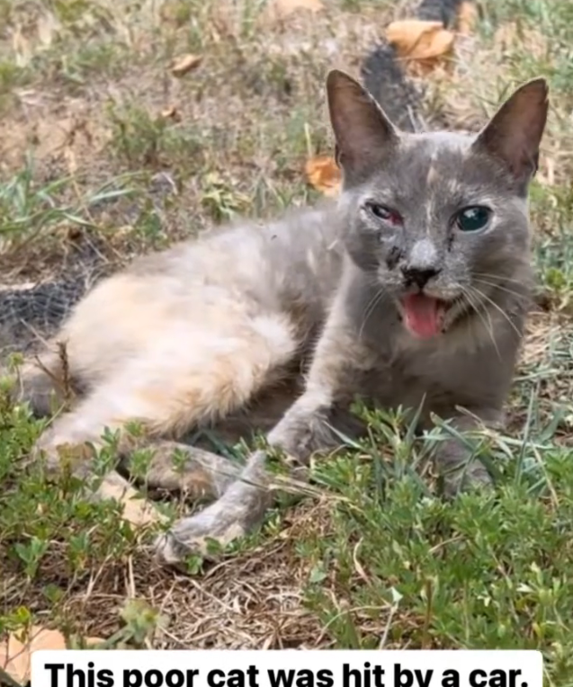 H1302003 The world felt impossibly unforgiving