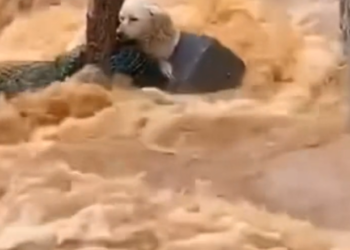 H1302013 Found where despair had settled in