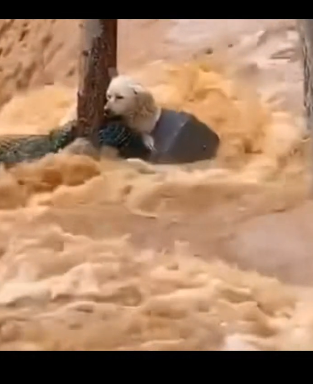 H1302013 Found where despair had settled in