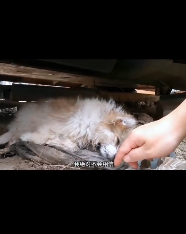 H1302014 The struggle had gone unnoticed for days