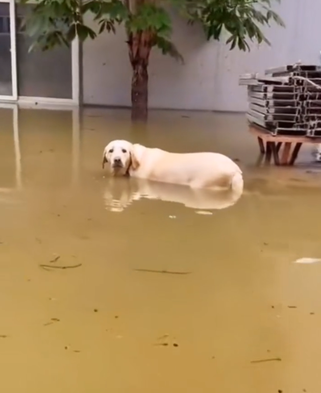 H1302015 A life nearly erased by circumstance