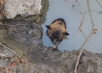 T3001001 This pain didn’t start today