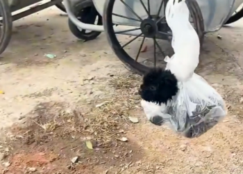 T3001049 Every moment alone took something away