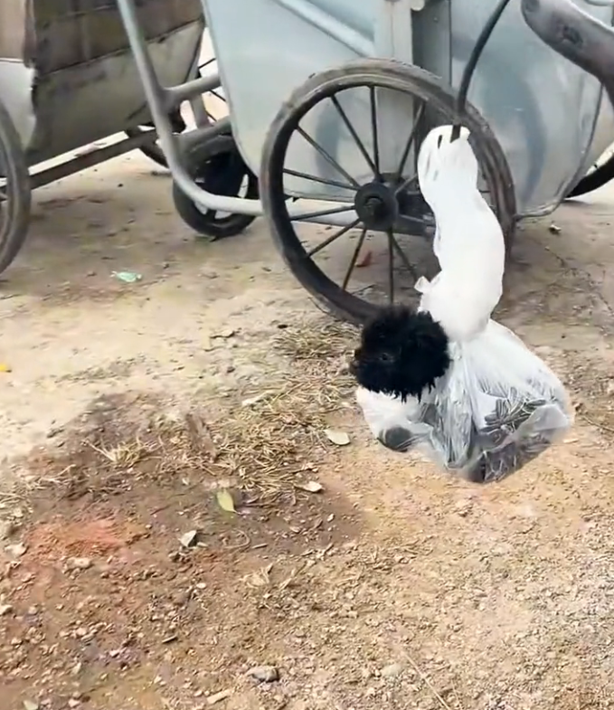 T3001049 Every moment alone took something away