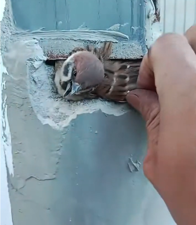 T3001045 What happens when no one intervenes?