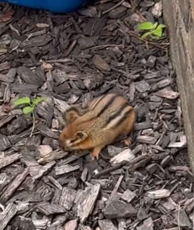 H2502037_My future wife doesn just love me she loves ever