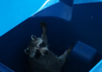 H2502042_Please check before closing bin lids