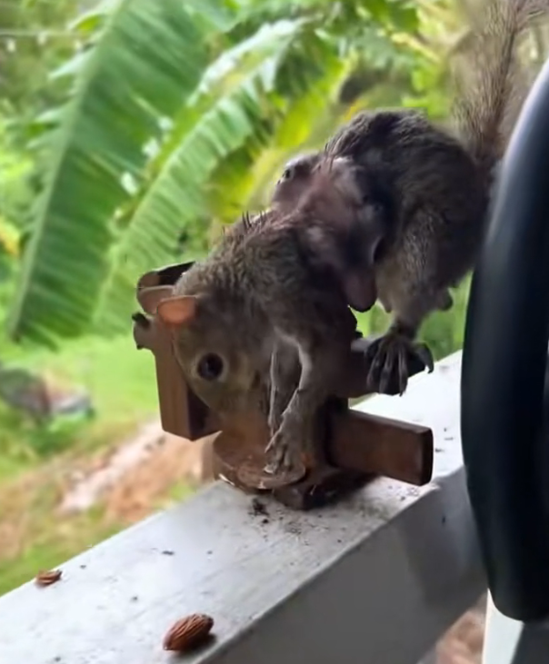 H2502046_Maybe being rescued was moment it had been wai