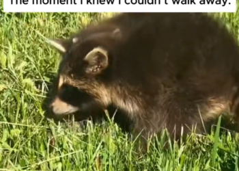 H2502048_They only had each other… no mother