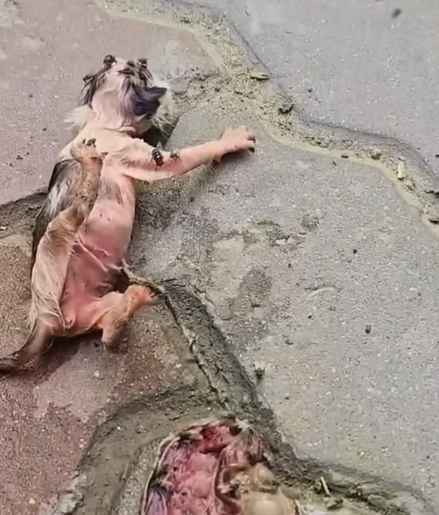 H2502068_thought wouldn be able to take care