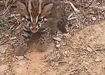 H2502070_What do you think about having such wonderful