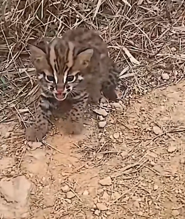 H2502070_What do you think about having such wonderful