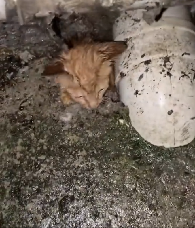 T3001018 No safety net. No second chances