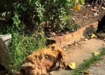 T3001054 Pain became part of the routine