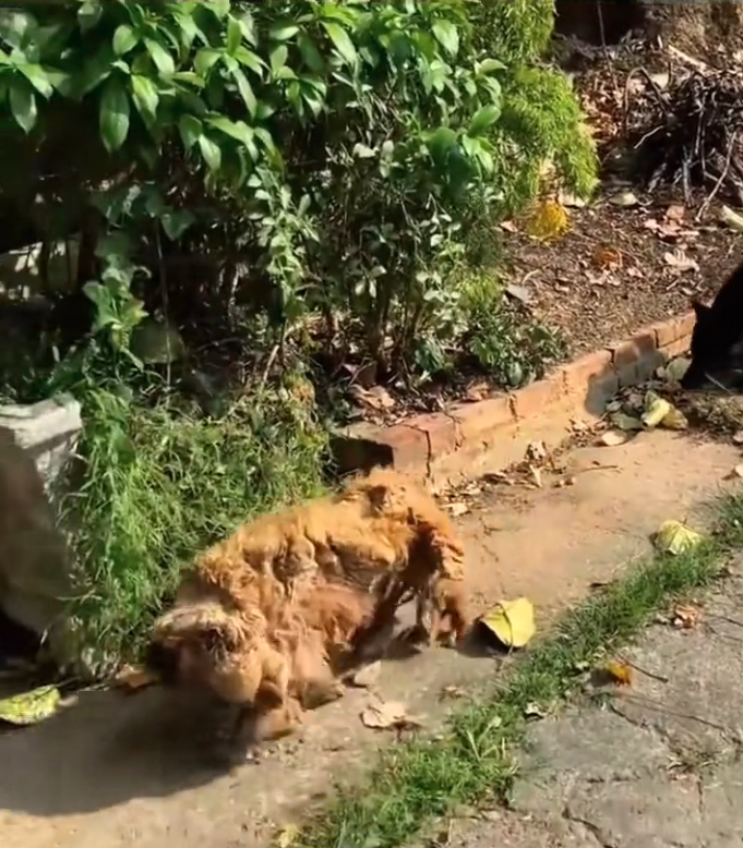 T3001054 Pain became part of the routine