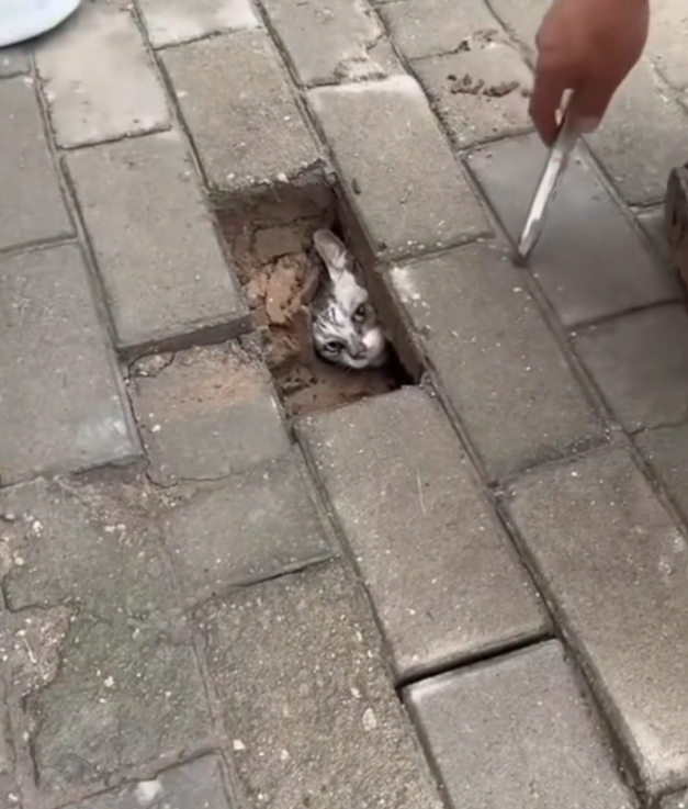 H2702048_They thought it was just normal sidewalk