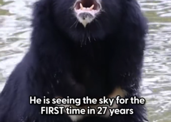 H2702050_Just wait until he starts playing his first