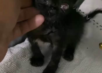 H2702051_Many of you asked about condition of poor