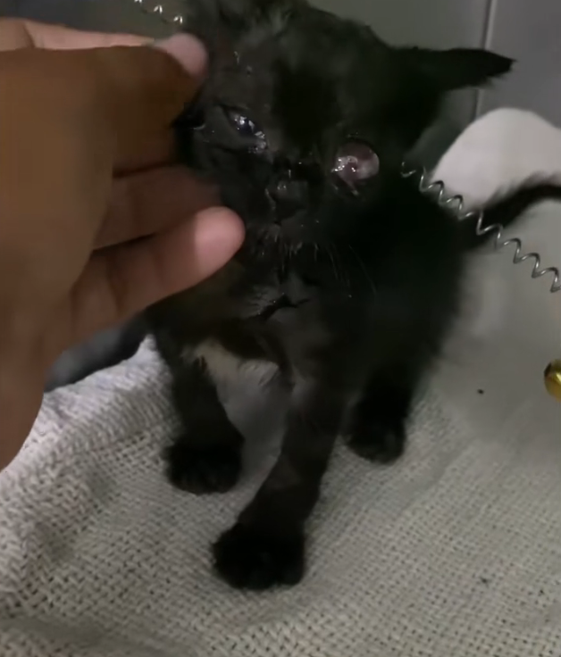 H2702051_Many of you asked about condition of poor