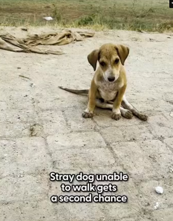 H2702057_Doctors said she never walk again just wait