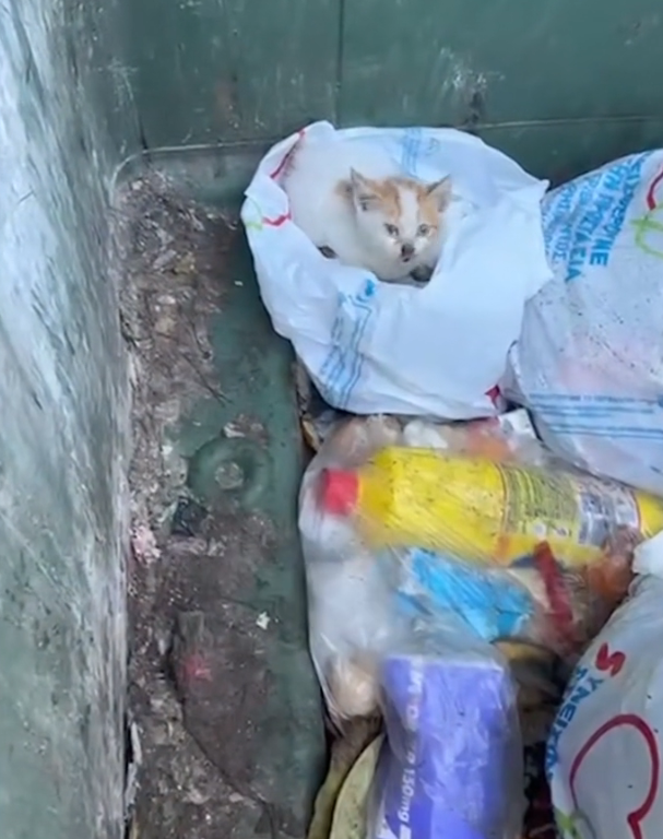 H2702058_Without any hesitation she dove right into