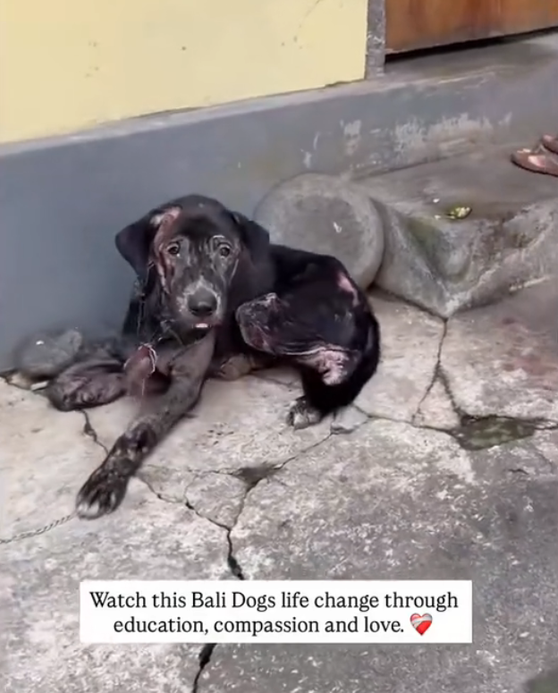 H2702060_transformation of Boni At beginning