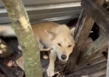 H2702061_Change through education It shouldn happen